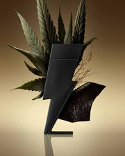 Bad Boy Le Parfum 100ML